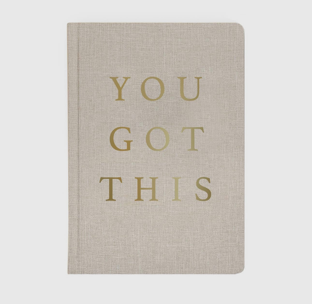 You Got This Journal